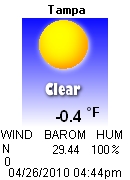 Current Weather Conditions in Tampa